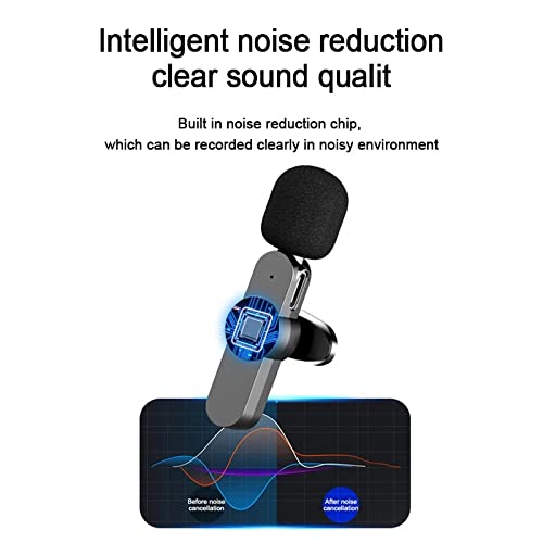 Dual Wireless Lavalier Microphone